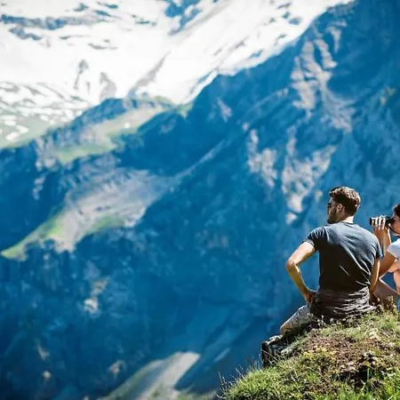 Appartamento Alpenrose By Interhome Adelboden