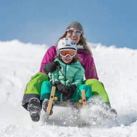 Lejlighed Alpenrose By Interhome Adelboden